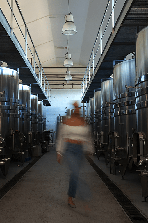 Get Lost in Old Wineries